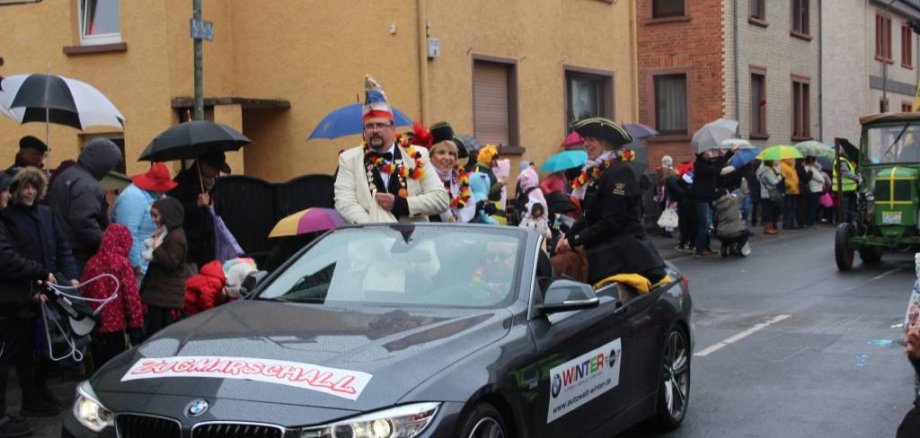 Faschingsumzug Lämmerspiel