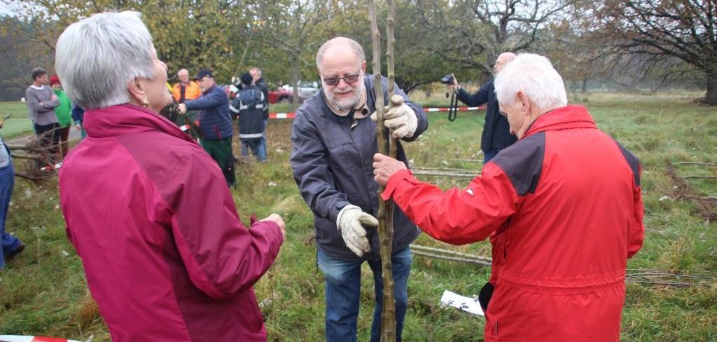 Neue Bäume am Gailenberg