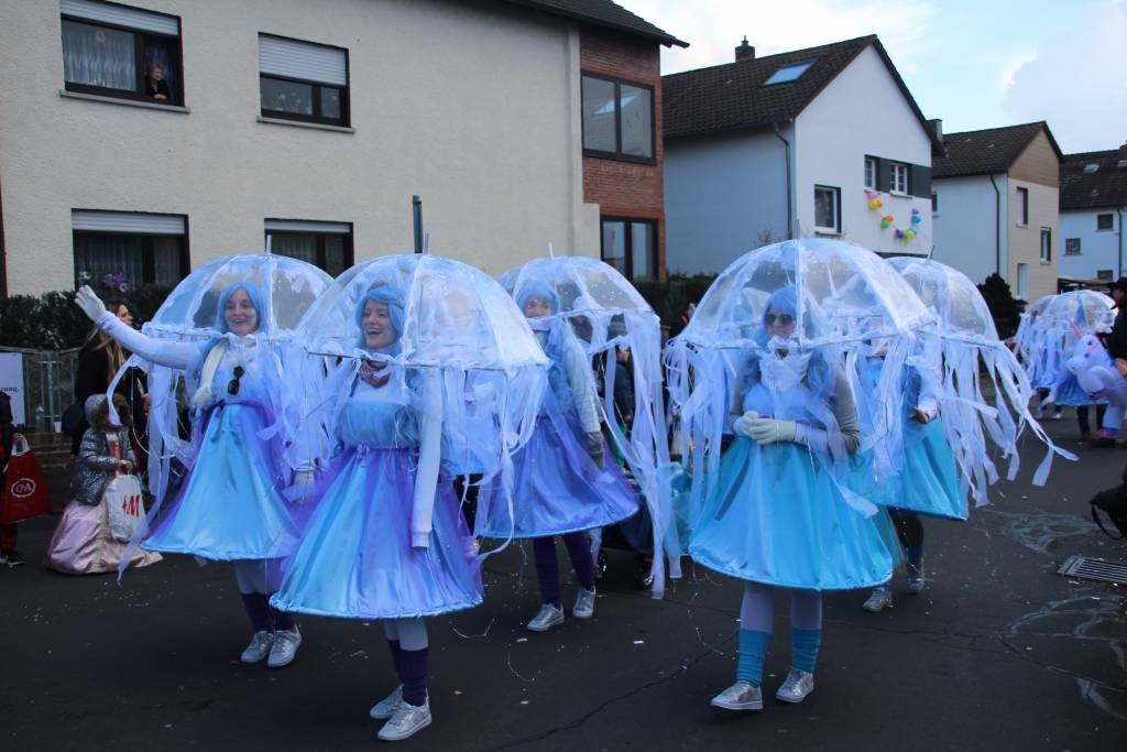 Rosenmontagszug 2018