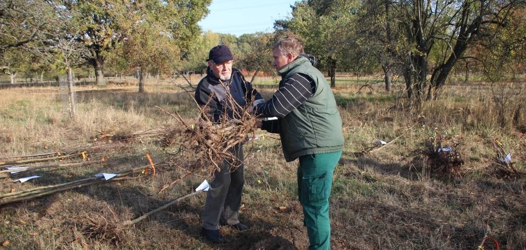 Baumpflanzaktion der „Schutzgemeinschaft Deutscher Wald“