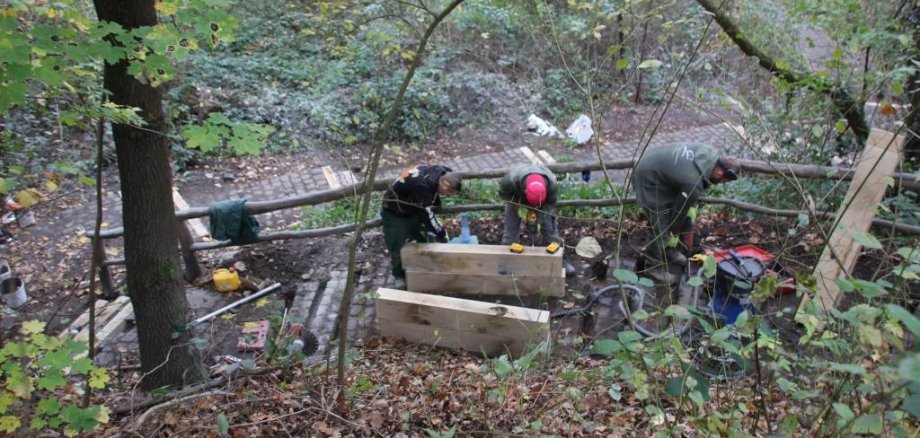 Sanierung Treppenanlage Naherholungsgebiet