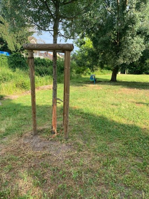 Baum in der Bleichstraße