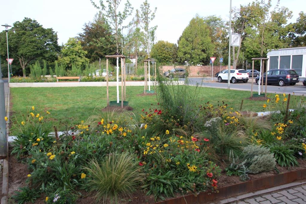 Beethovenplatz und Bieberer Straße im neuen Glanz