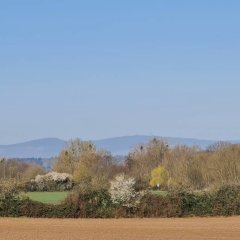 Frühling 2022