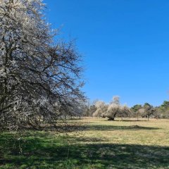 Frühling 2022