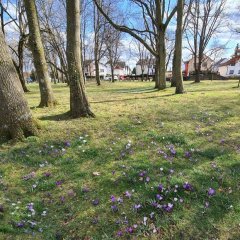 Frühling 2022
