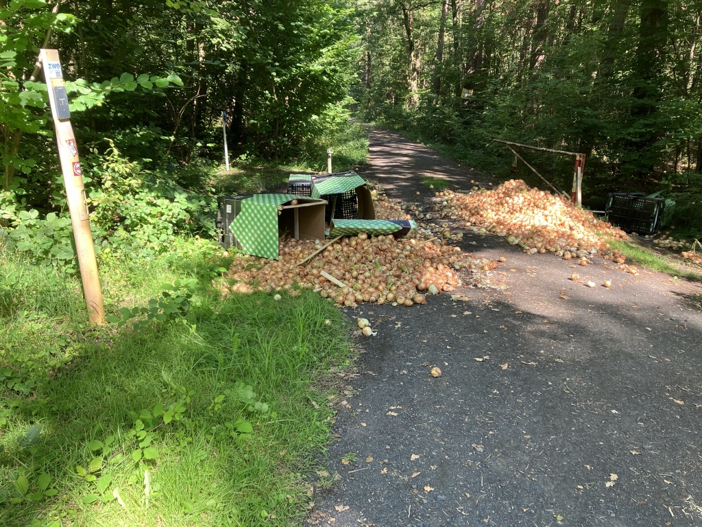 Illegale Ablagerung von Zwiebeln im Mühlheimer Stadtwald